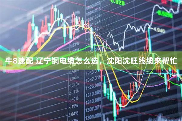 牛8速配 辽宁铜电缆怎么选，沈阳沈旺线缆来帮忙