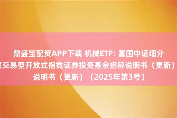 鼎盛宝配资APP下载 机械ETF: 富国中证细分机械设备产业主题交易型开放式指数证券投资基金招募说明书（更新）（2025年第3号）